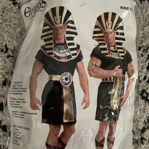 King Tut Halloween costume
